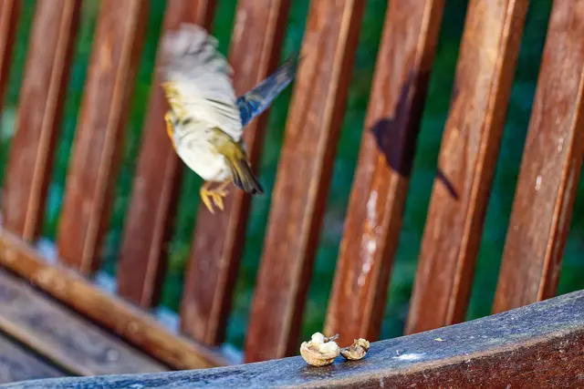 Und Tschüss! | Foto: WKY