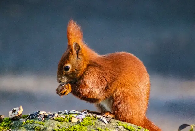 Foto: Stephanie Rüdele