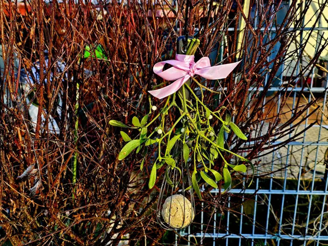 Foto: Heidrun Rosenberger