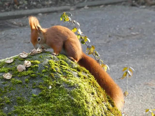"Mmmmhhh, riecht schon mal ganz gut"...... | Foto: sigischlottke