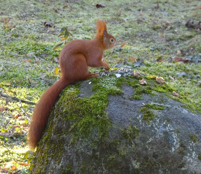 "Huch, kommt da noch jemand?"..... | Foto: sigischlottke