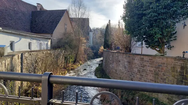Der Erlenbach | Foto: Elfriede Baier 
