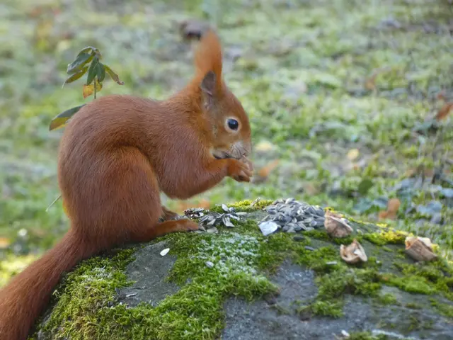 "Mmmmhhh, herrlich. So lecker bei der Kälte". ..... | Foto: sigischlottke
