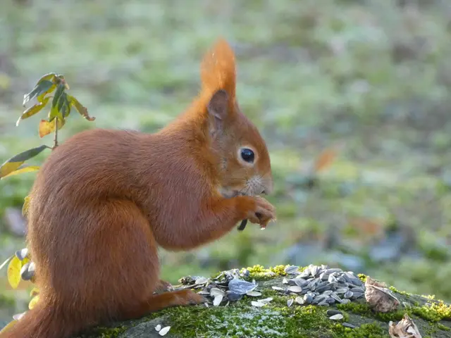 "Wirklich total lecker".... | Foto: sigischlottke