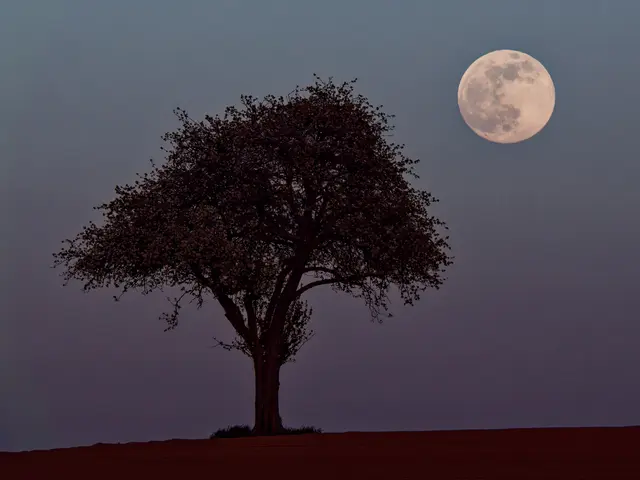 Supermond im Kraichgau | Foto: Jörg Haffelder