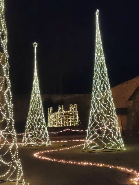 Foto: Daniela Somers