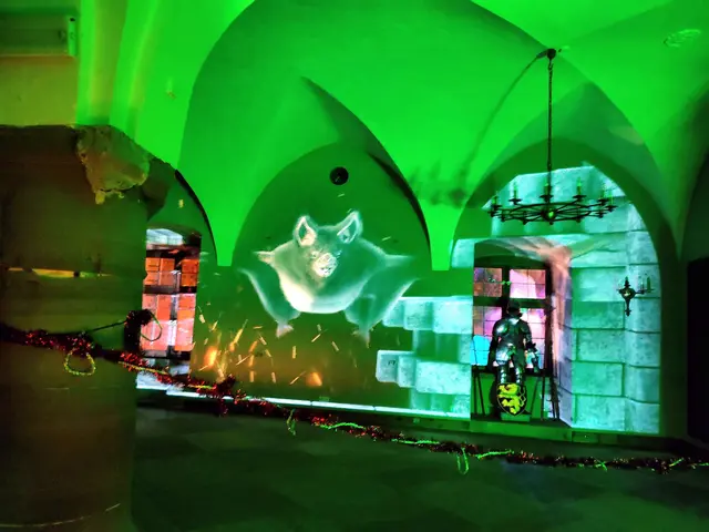 Foto: Daniela Somers