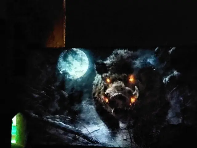 Foto: Daniela Somers