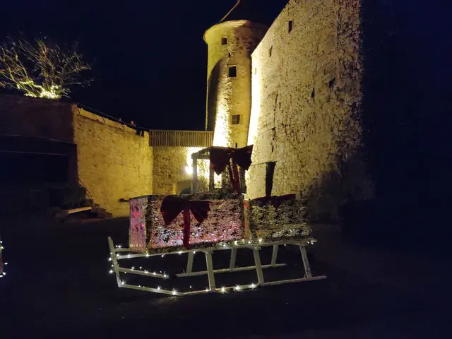 Foto: Daniela Somers