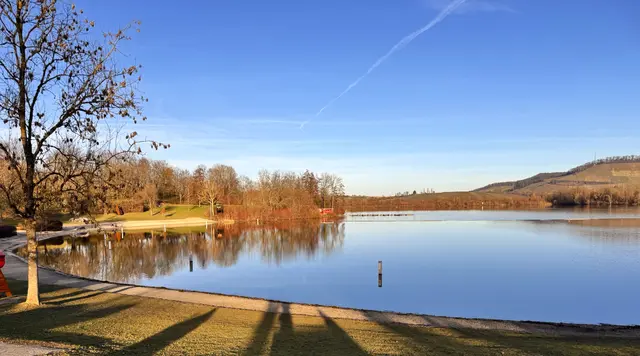 Foto: Heide Böllinger aus Bad Friedrichshall