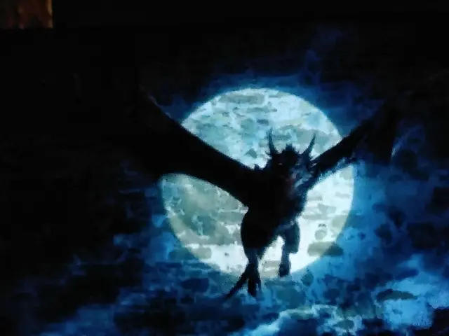 Foto: Daniela Somers