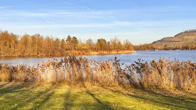 Foto: Heide Böllinger aus Bad Friedrichshall