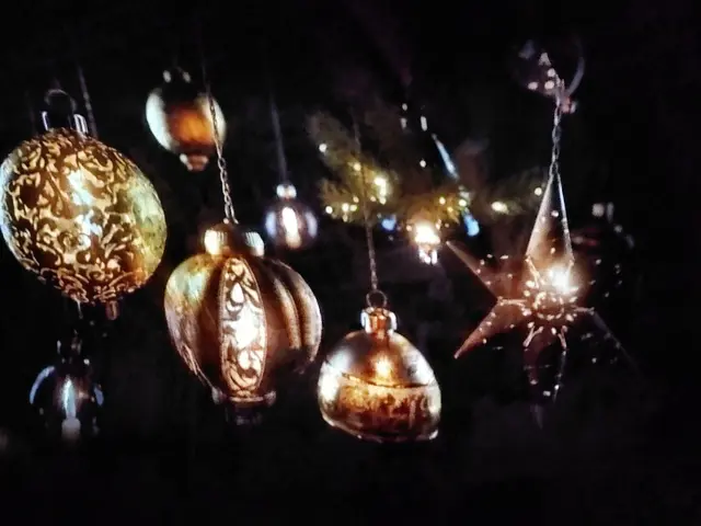 Foto: Daniela Somers