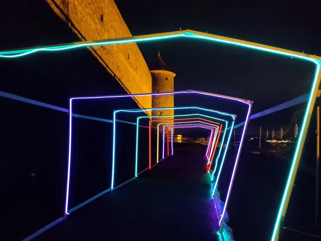 Foto: Daniela Somers