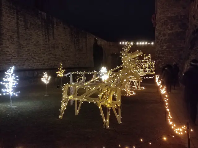 Foto: Daniela Somers