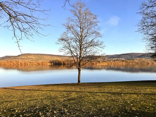 Foto: Heide Böllinger aus Bad Friedrichshall