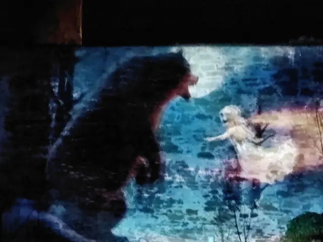 Foto: Daniela Somers