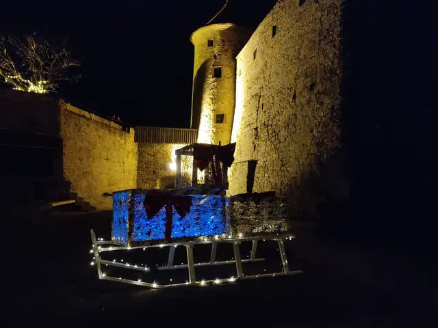 Foto: Daniela Somers