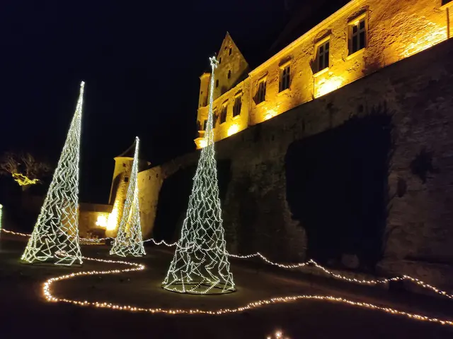 Foto: Daniela Somers