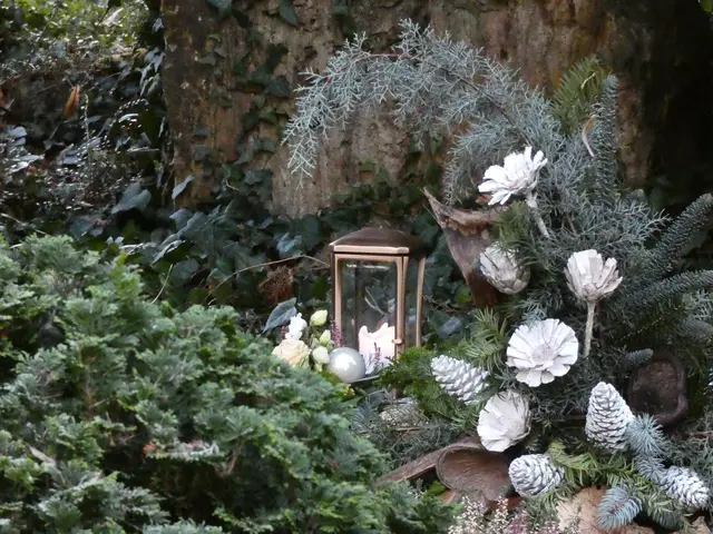 Das Weiß der Kugeln, Kerzen, Blüten und Zapfen leuchtet jetzt zu dieser Jahreszeit besonders schön.  | Foto: sigischlottke