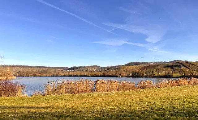 Foto: Heide Böllinger aus Bad Friedrichshall