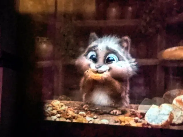 Foto: Daniela Somers