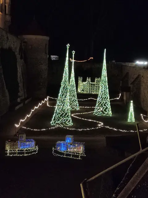 Foto: Daniela Somers