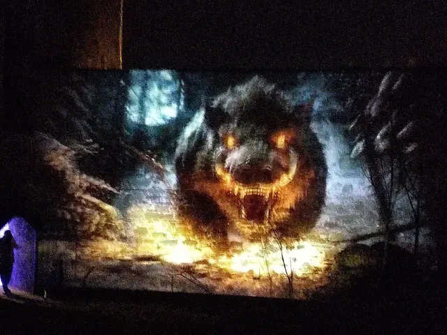 Foto: Daniela Somers