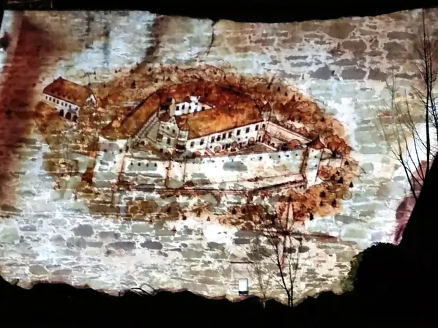 Foto: Daniela Somers