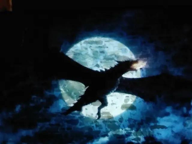 Foto: Daniela Somers