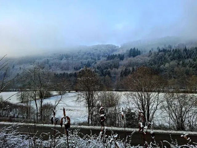 Ist das schön wenn ein wenig Schnee liegt❄️❄️❄️ | Foto: Ralf Röser
