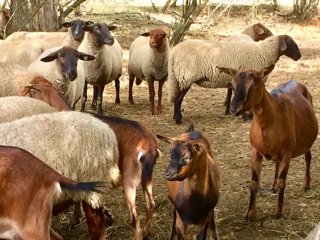 Foto: Heide Böllinger aus Bad Friedrichshall