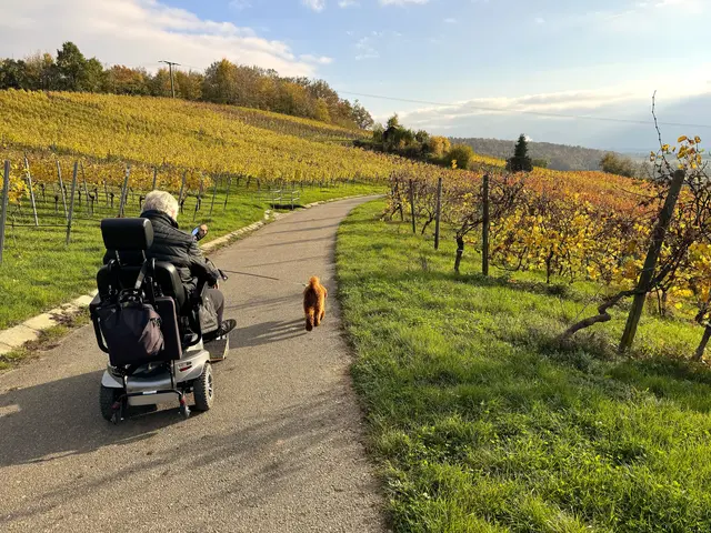 Foto: Heide Böllinger aus Bad Friedrichshall