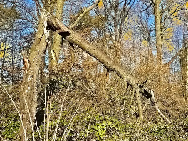 Foto: Heidrun Rosenberger