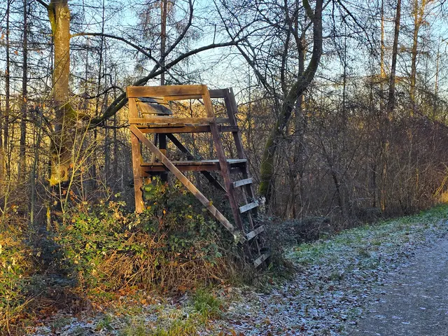 Foto: Heidrun Rosenberger