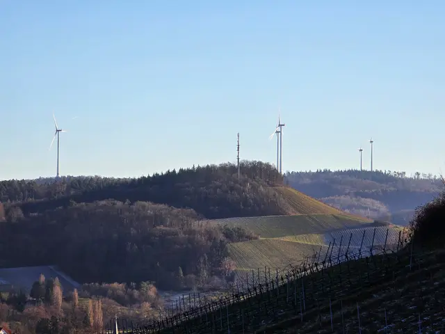 Foto: Heidrun Rosenberger