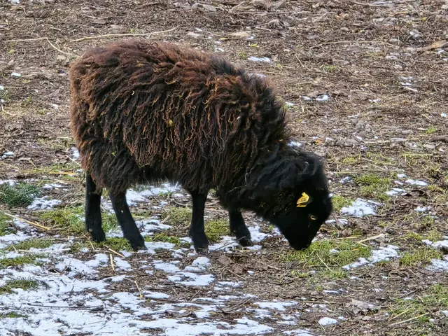 Foto: Heidrun Rosenberger