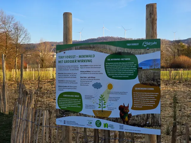 Auf diesem Schild ist alles toll erklärt. | Foto: Heidrun Rosenberger