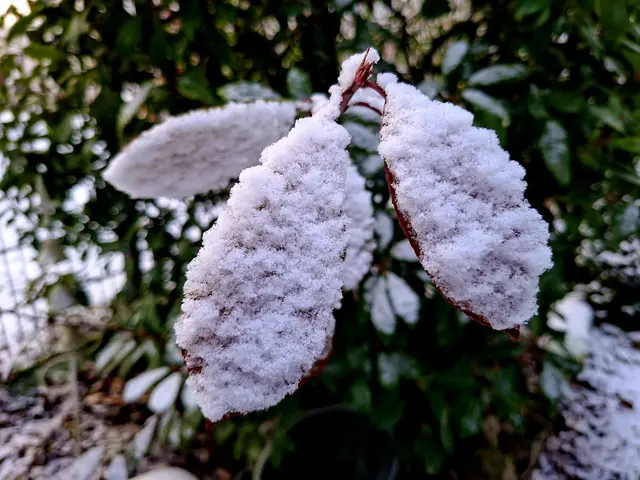 Ist das schön wenn ein wenig Schnee liegt❄️❄️❄️ | Foto: Ralf Röser