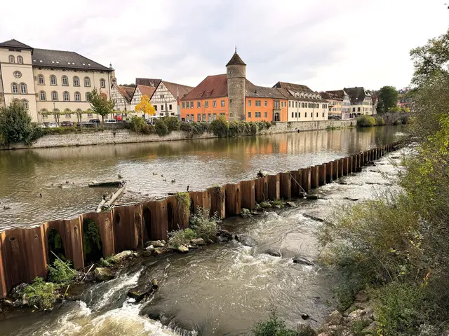 Foto: Heide Böllinger aus Bad Friedrichshall
