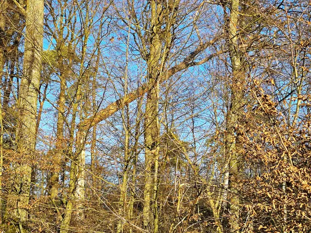 Foto: Heidrun Rosenberger