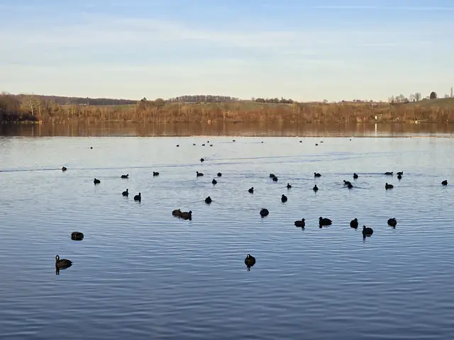 Foto: Heidrun Rosenberger