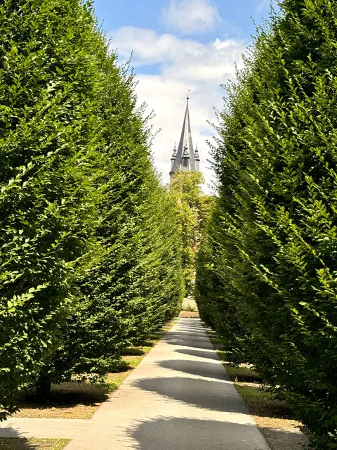 Foto: Heide Böllinger aus Bad Friedrichshall