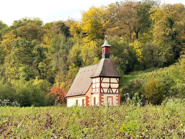 Foto: Heide Böllinger aus Bad Friedrichshall