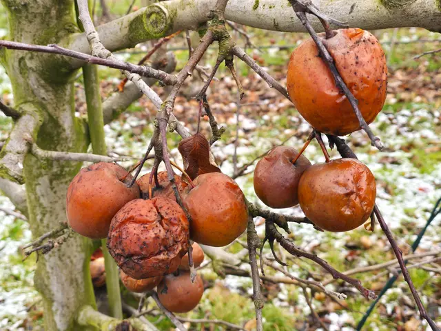 Foto: Heidrun Rosenberger