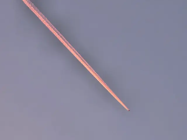 Foto: Heidrun Rosenberger