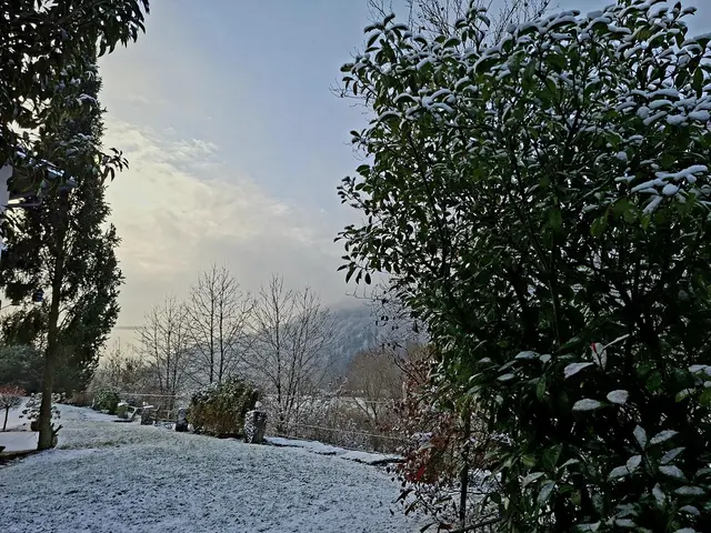 Ist das schön wenn ein wenig Schnee liegt❄️❄️❄️ | Foto: Ralf Röser