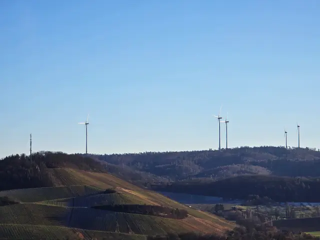 Foto: Heidrun Rosenberger