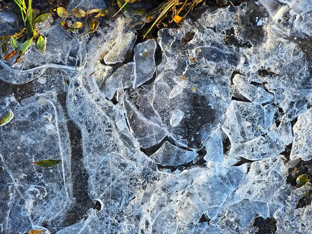 Foto: Heidrun Rosenberger