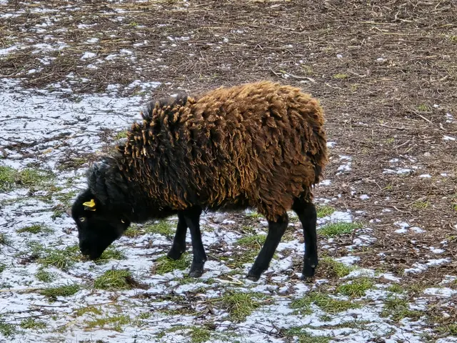 Foto: Heidrun Rosenberger